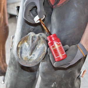 Kevin Bacon's – KEVIN BACON’S Hoof Solution    | Sellerie Bucéphale