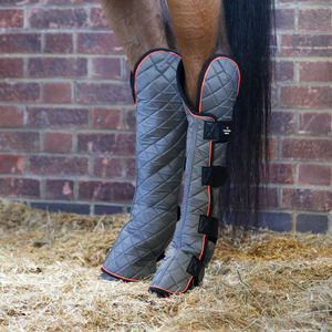 Woof Wear – Guêtres magnétiques jarrets Hind & Hock Chaps Equilibrium Black 6 | Sellerie Bucéphale