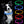 Collier lumineux LED bleu pour chien