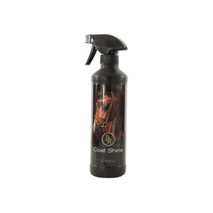 Spray brillance BR Coat Shine 500 ml