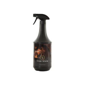 Spray brillance BR Coat Shine 1 L