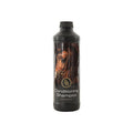 Image for Champú acondicionador BR con aloe vera 500 ml