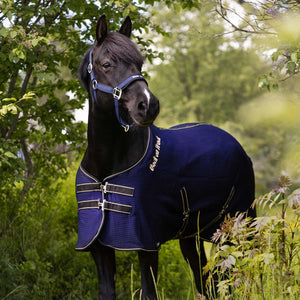 Szybkoschnący koc Quick Cooler – Back on Track