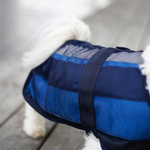 Cooling coat for dog Cool on Track 2.0