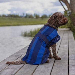 Cooling coat for dog Cool on Track 2.0