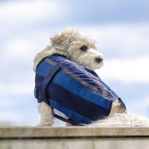 Cooling coat for dog Cool on Track 2.0