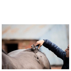 Maszynka do strzyżenia Wahl Eclipse 258-42001