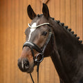 Image for Cabresto Favorite Passier by Ingrid Klimke cor Havana