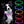 Collier lumineux LED rose pour chien