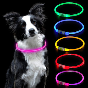 Collier lumineux LED rose pour chien
