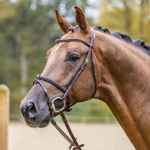 Fly High Passier bridle French noseband