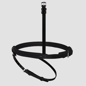 Muserolle interchangeable Passier 816 combinée, passant de sous-gorge amovible coloris Noir (rendu)