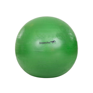 Ballon géant Mega Jolly Ball 40 pouces vert