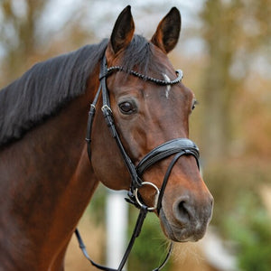 Bridon Noblesse Passier vue 4