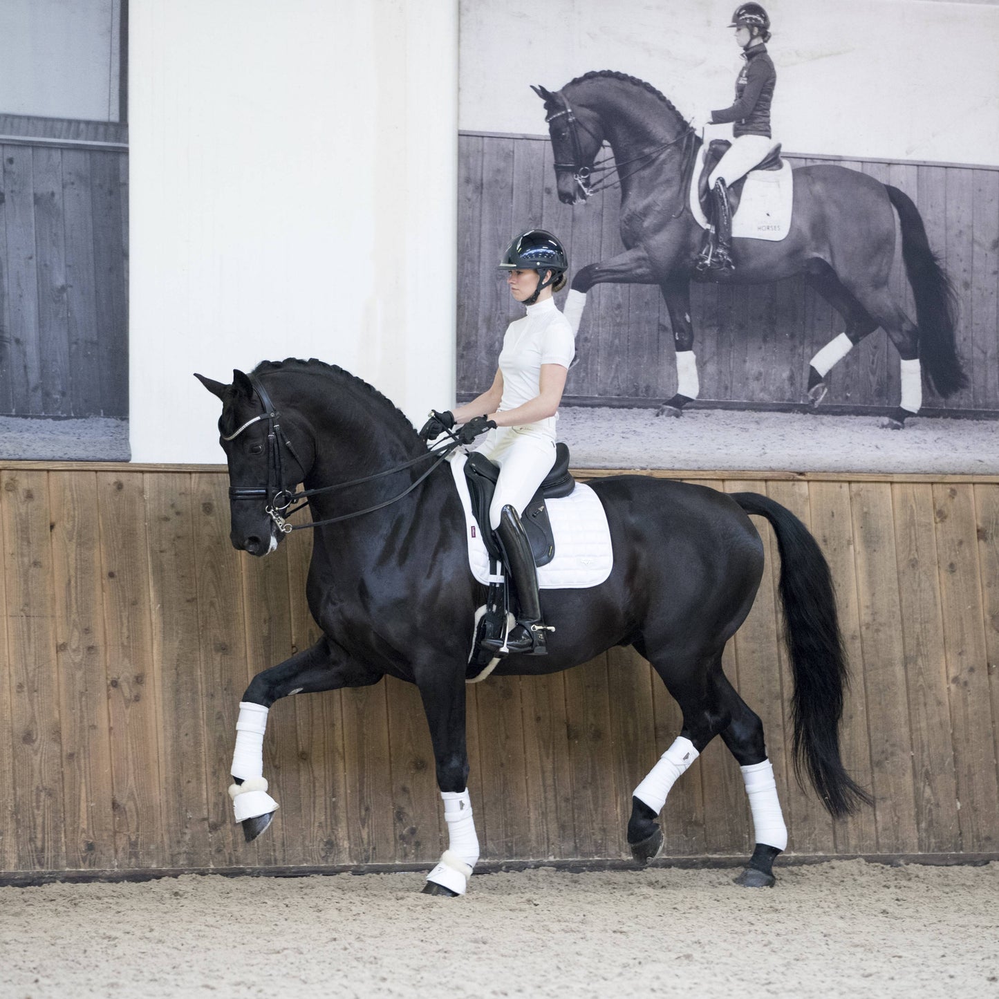 Tapis LeMieux Loire Dressage Blanc Dressage cheval au trot | Sellerie Bucéphale