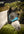 Woof Wear – Masque anti-mouches UV avec oreilles Woof Wear Noir 4 | Sellerie Bucéphale