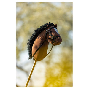 Hobby Horse BR Mini
