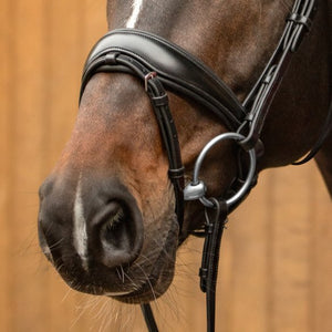 Passier – Bridon anatomique Fantastic Passier Noir Cheval Muserolle anatomique avec application | Sellerie Bucéphale