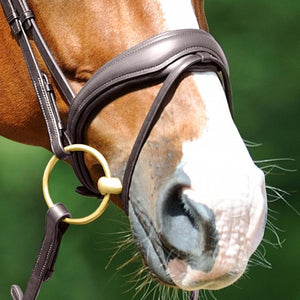 Passier – Bridon anatomique Fantastic Passier Noir Cheval Muserolle anatomique rembourrée vernie | Sellerie Bucéphale