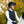 Woof Wear – Gilet de protection Ti22 Champion Black 4 | Sellerie Bucéphale