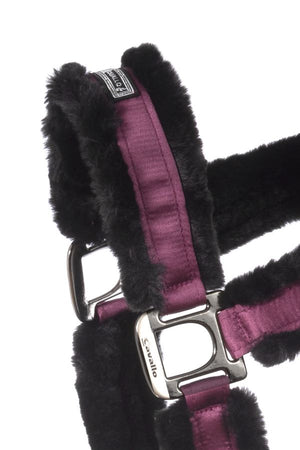 Cavallo Halter CAVALJUNO