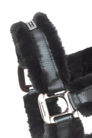 Cavallo Halter CAVALJUNO
