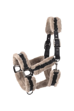 Cavallo Halter CAVALJUNO