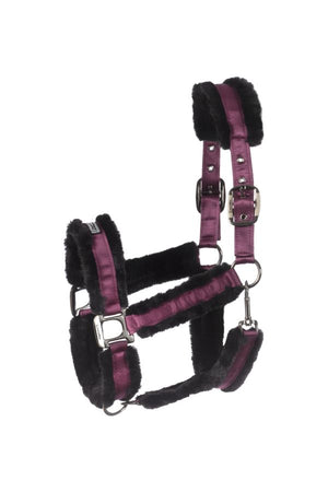 Cavallo CAVALJUNO halter