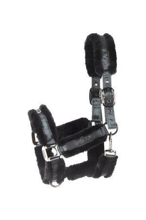 Cavallo Halter CAVALJUNO