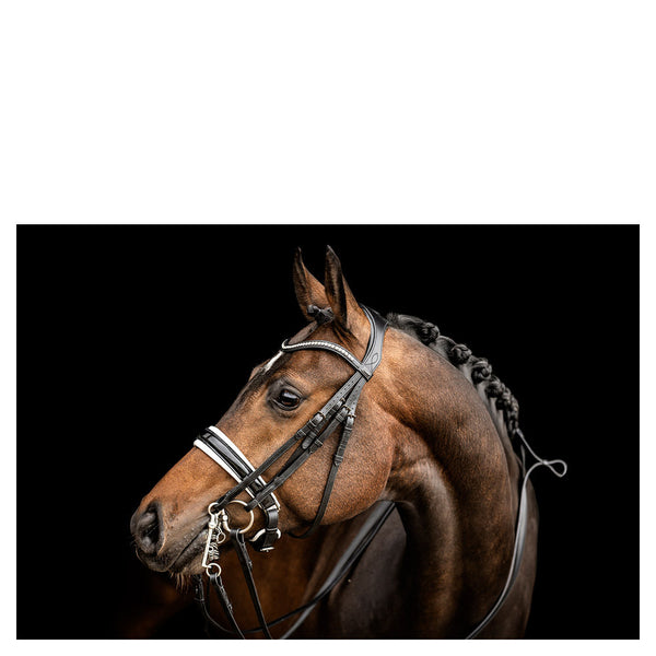 Extra-wide Anky bridle