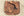 ANKY cloches – Chestnut