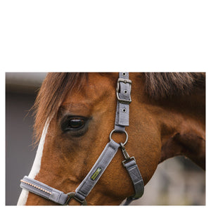 Licol et longe Anky Stones Gris | Sellerie Bucéphale