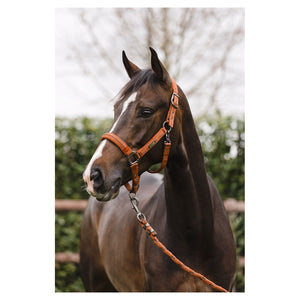 Licol et longe Anky Stones Rouille | Sellerie Bucéphale