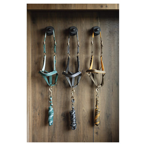 Testiera e longe Anky AW24