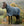 Couverture d’Extérieur Rhino® Plus 450g Vari-Layer Horseware