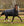 Couverture d’Extérieur Horseware® Trot Plus 350g