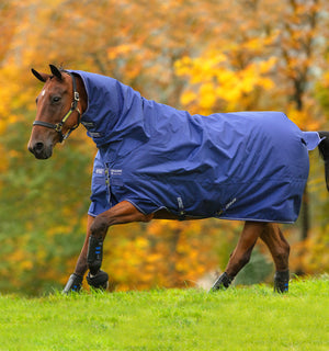 Coperta da Esterno Horseware Amigo® Hero 900 Plus 200g