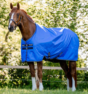 Buiten deken Amigo® Hero 50g Horseware
