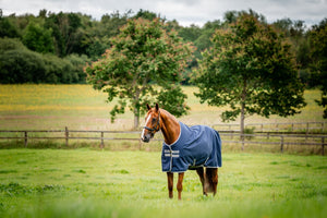 Horseware Amigo® 900D 50g szakadásálló kültéri takaró
