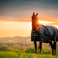 Horseware Amigo® Ripstop 900D 0g kültéri takaró