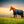 Horseware Amigo® Ripstop 900D 0g kültéri takaró