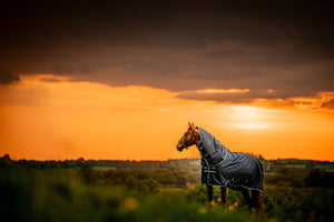 Cobertura exterior Horseware Amigo® Ripstop 900D Plus 200g