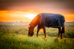 Cobertura exterior Horseware Amigo® Ripstop 900D Plus 200g