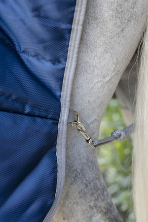 Coperta da Scuderia Horseware Amigo® Insulator Plus 350g – Con Copricollo Staccabile