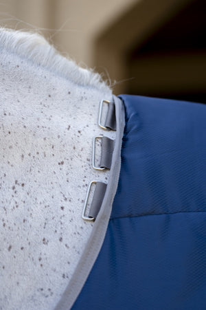Coperta da Scuderia Horseware Amigo® Insulator Plus 350g – Con Copricollo Staccabile