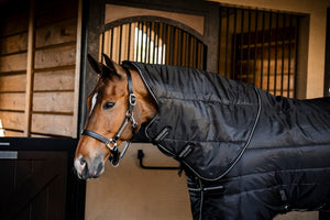 Κουβέρτα στάβλου Horseware Amigo® Insulator Plus 350g – Με αποσπώμενο κάλυμμα λαιμού
