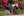 Stalshirt Horseware Rambo® Optimo