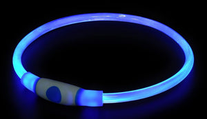Collier LED bleu allumé dans le noir