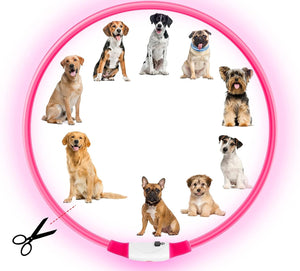 Collier lumineux LED rose découpable, adapté aux petits comme aux grands chiens