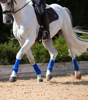 Woof Wear – Guêtres Sports Medicine Air-Tech Premier Equine Royal Blue 2 | Sellerie Bucéphale